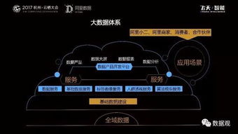 阿里數(shù)據(jù)服務(wù)產(chǎn)品開發(fā)與大數(shù)據(jù)體系實(shí)踐 數(shù)據(jù)處理服務(wù)的核心洞察